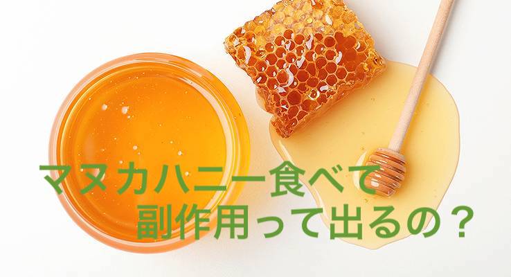 その他のメリット